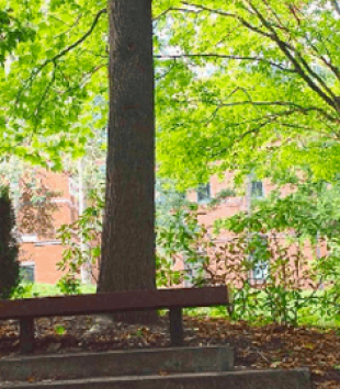 o estudante Matheus Costa em Cornell, nos Estados Unidos