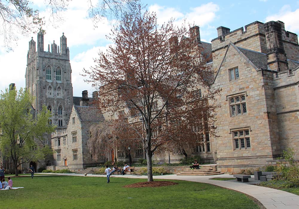 5 curiosidades que você precisa saber sobre a universidade de Yale